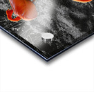 Flamingos Tucked Acrylic print