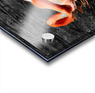 Flamingo Grooming Acrylic print