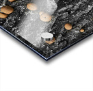 Puffball Mushrooms Acrylic print