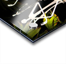 Ghostly Aliens Acrylic print