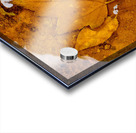 Red Maple Encased In Iron Oxide Acrylic print