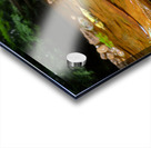 Carnahan Run Acrylic print