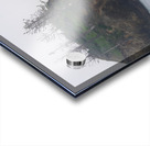 Pacific Coast Mist Acrylic print