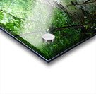 Roaring Run Acrylic print