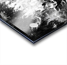 Sequoia Root Wad Acrylic print