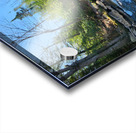 Clear Shade Creek Acrylic print