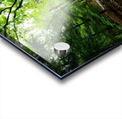 Laurel Run Acrylic print