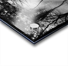 Morning Sunlight Acrylic print