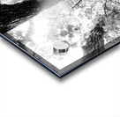 Forest Squad Acrylic print