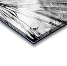 Geometric Ice Acrylic print