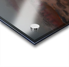 Shade Brook Trout Fave 1 Acrylic print