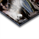 Garter Snakes Acrylic print