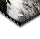 Stonefly Shucks Acrylic print