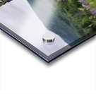 White Mountain Lupines Acrylic print