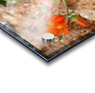 Orange Flowers Acrylic print