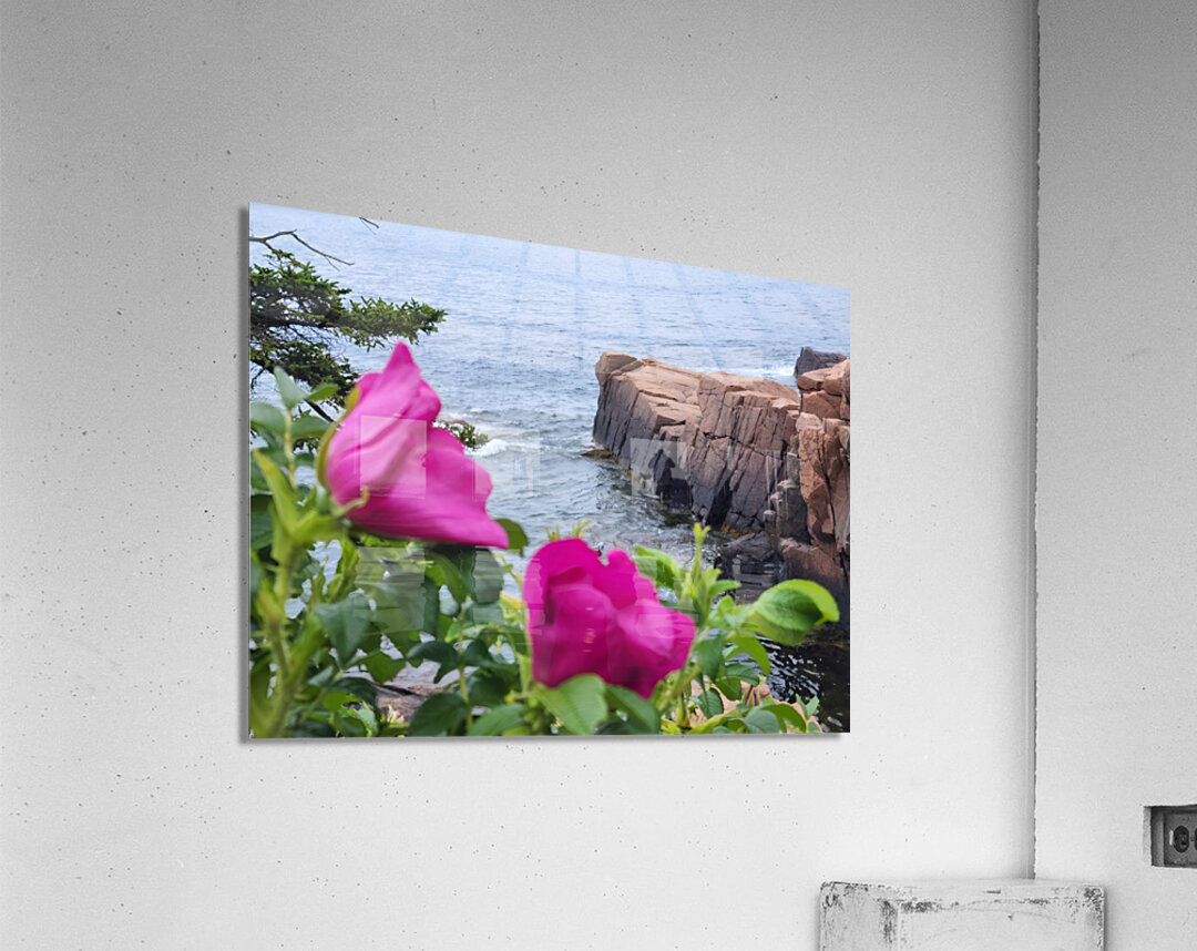 Acadia Point Acrylic Print