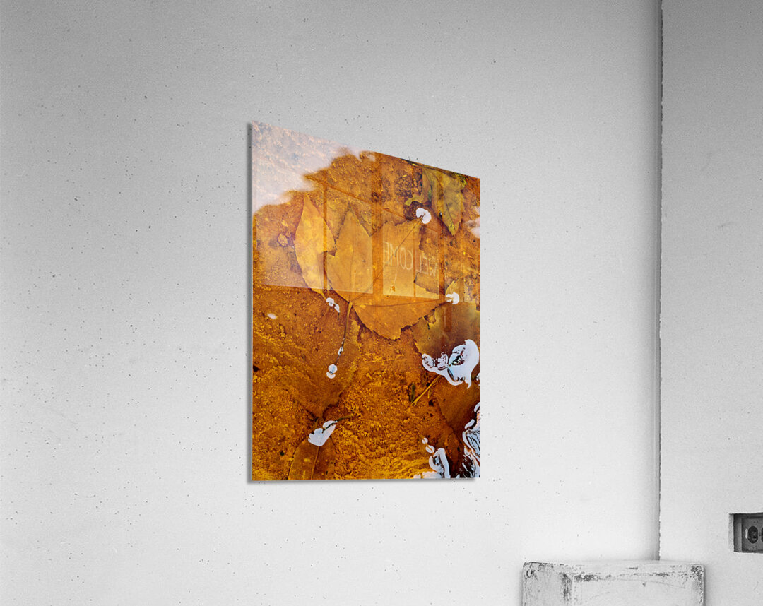 Red Maple Encased In Iron Oxide Acrylic Print