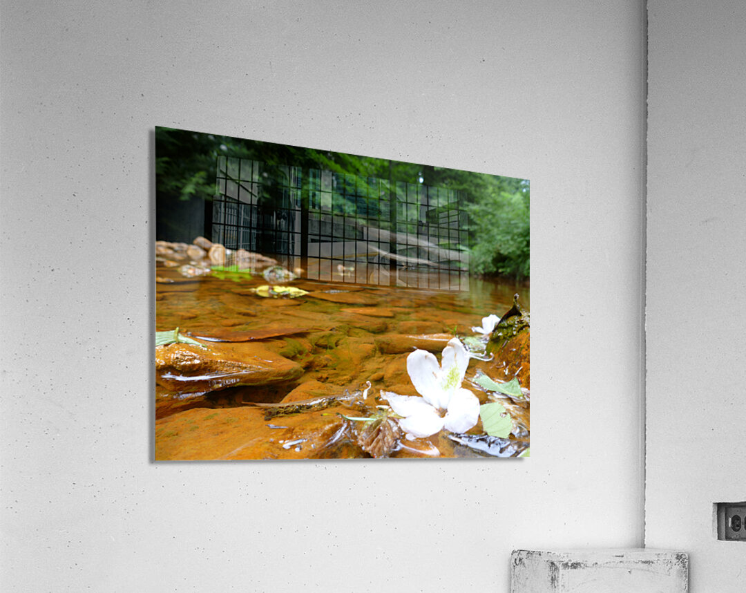 Carnahan Run Acrylic Print