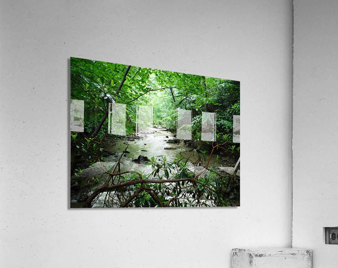 Roaring Run Acrylic Print