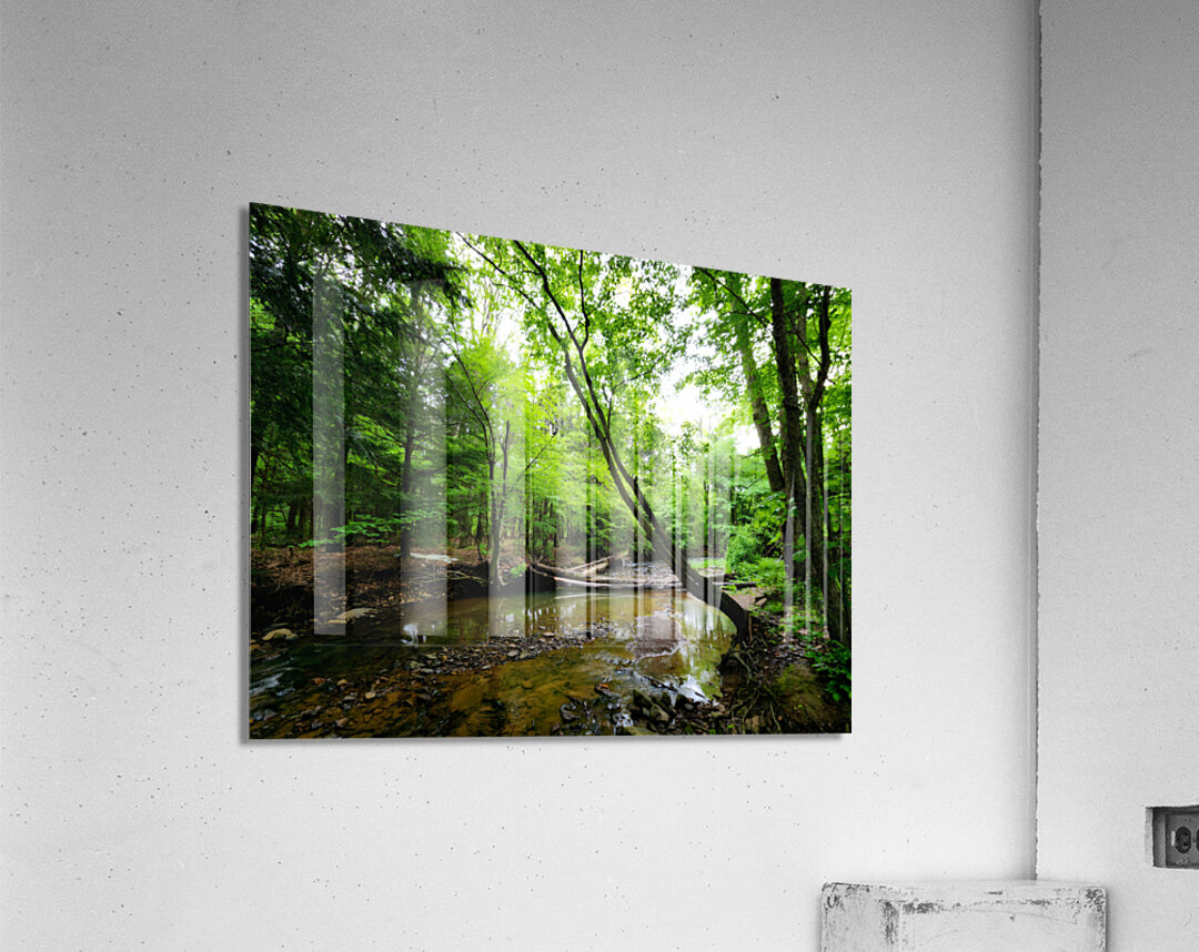 Laurel Run Acrylic Print