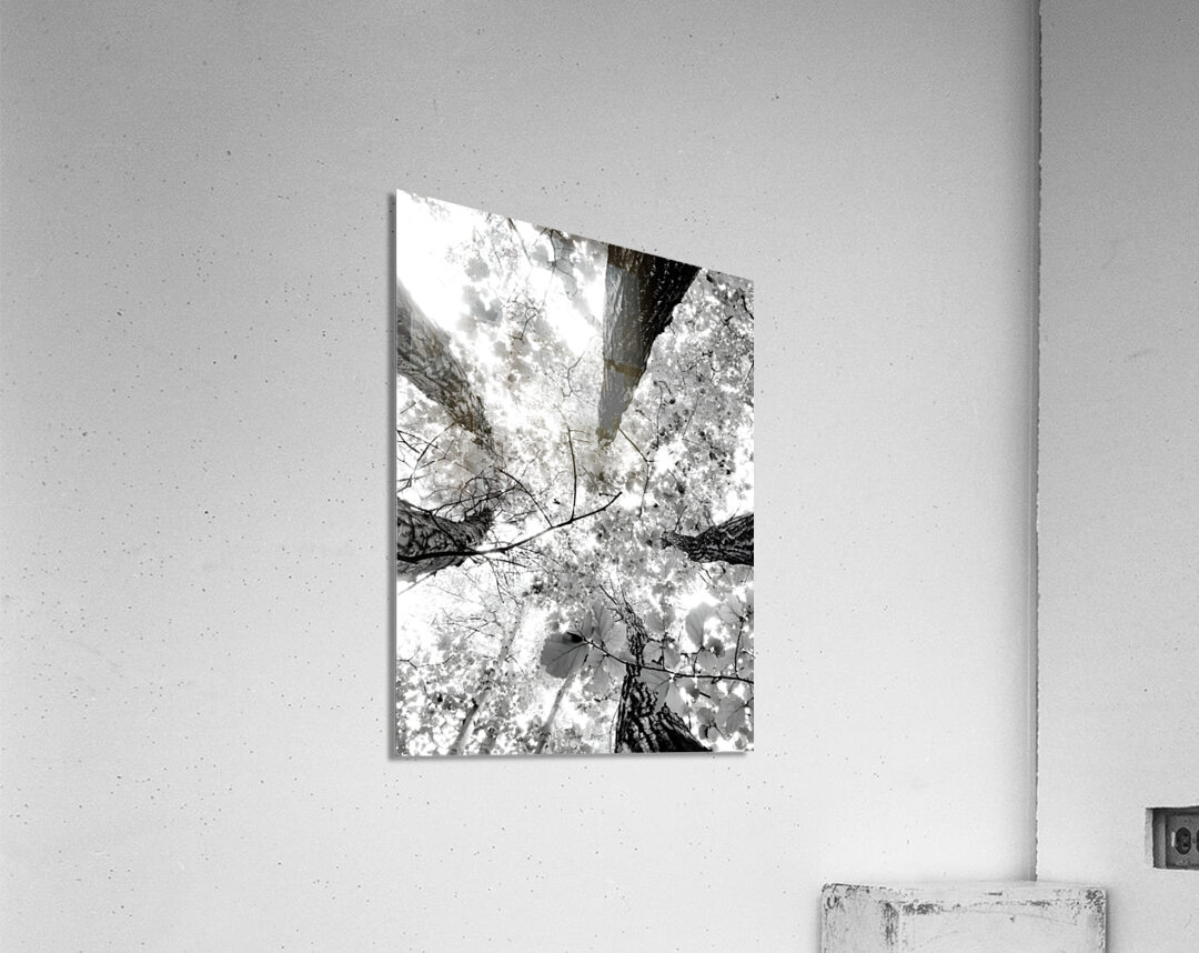 Forest Squad Acrylic Print