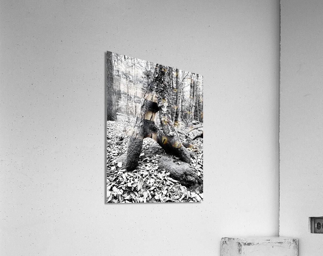 Natural A Acrylic Print