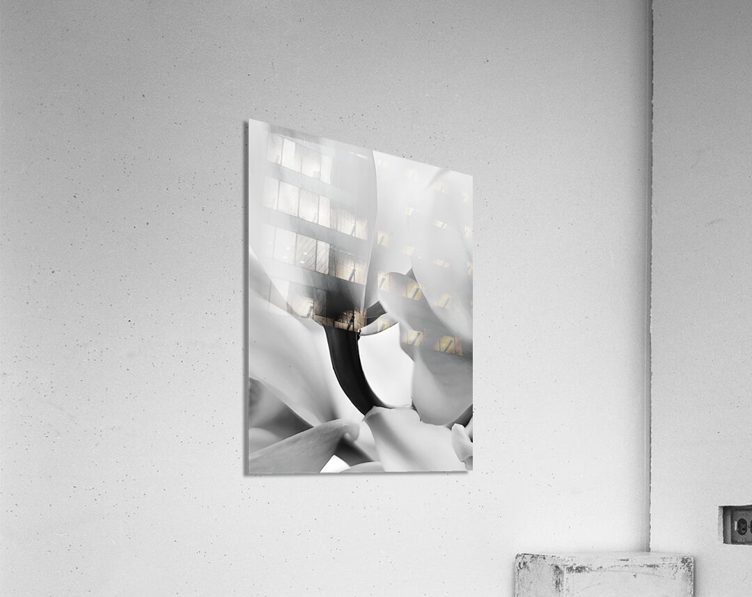 Ethereal Flower Acrylic Print