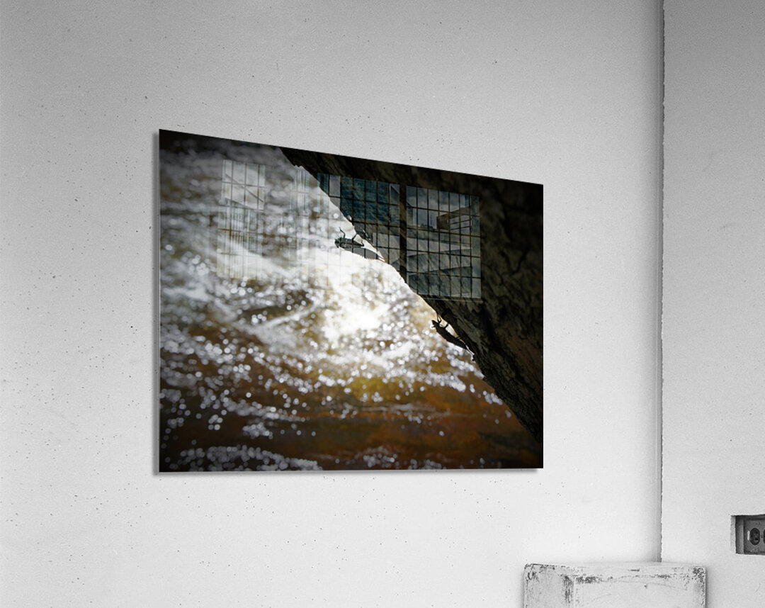 Stonefly Shucks Acrylic Print