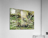 Faces Of The Smokies 5  Acrylic Print
