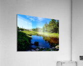 Acadia Wetland  Acrylic Print