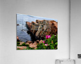 Acadia Coast  Acrylic Print