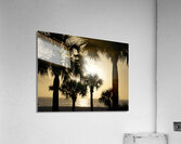 Palm Trees Silhouette  Acrylic Print