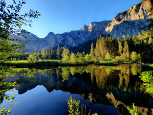 Yosemite Morning by Earthshine Emporium