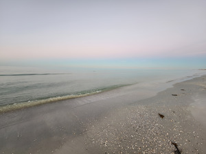 Beach Dawn by Earthshine Emporium