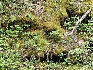 Faces Of The Smokies 5 by Earthshine Emporium