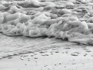 Surf by Earthshine Emporium