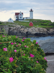 Lighthouse by Earthshine Emporium