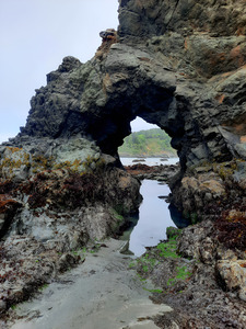 California Coast by Earthshine Emporium