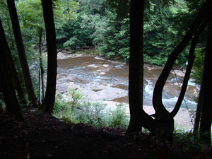 Stonycreek River Headwaters