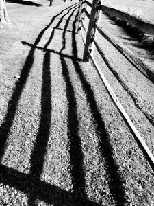 Split Rail Shadows by Earthshine Emporium