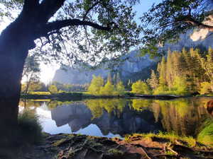 Yosemite 2 by Earthshine Emporium