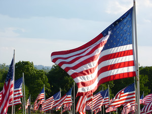 Flags by Earthshine Emporium