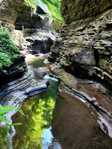 Watkins Glen State Park by Earthshine Emporium