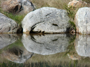 Rock Smile by Earthshine Emporium
