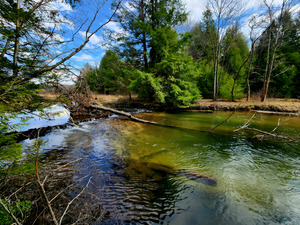 Spring At Clear Shade Creek by Earthshine Emporium