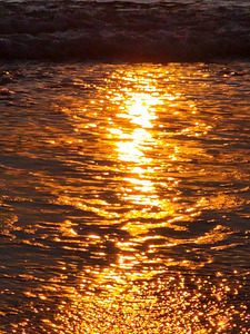 Golden Ocean
