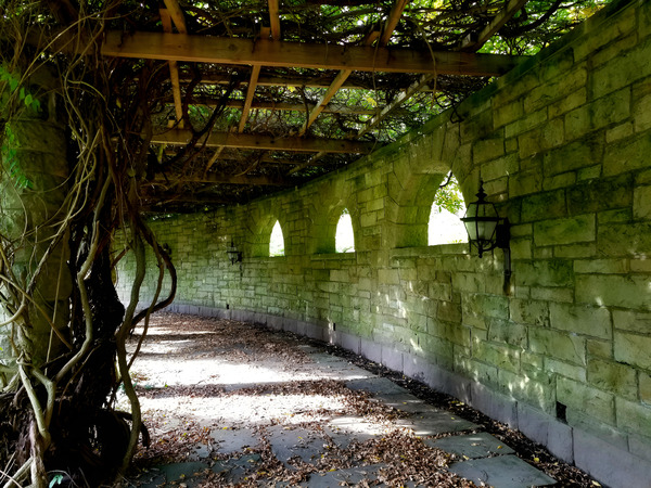 Mt Assisi Garden 1 Print