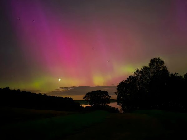 Aurora 12  Print