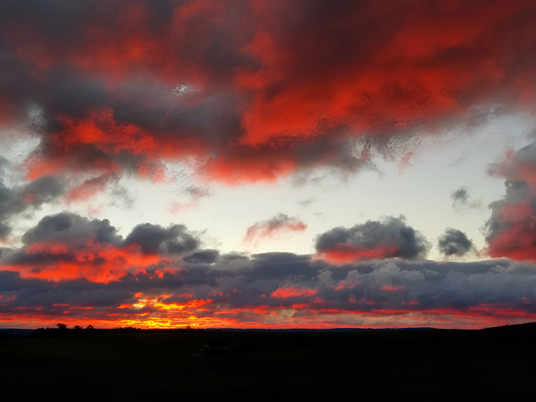 Commuting Sunrise Print