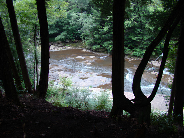 Stonycreek River Headwaters Print